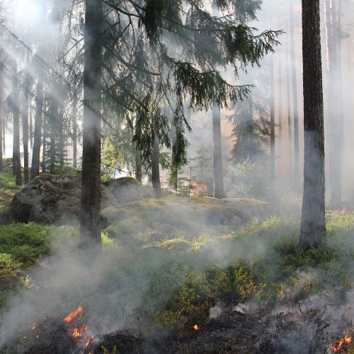 Incendios forestales: ¿cómo afecta el humo a la salud de las personas?